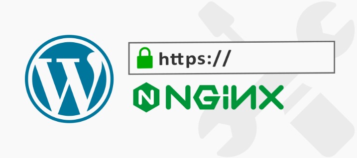 Tips On How To Arrange Reverse Proxy With Nginx Proxy Supervisor Npm Tips On How To Arrange Reverse Proxy With Nginx Proxy Supervisor Npm