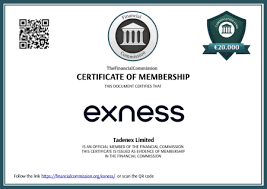 Maximize Your Trading Potential with Exness Tools Calculator 6