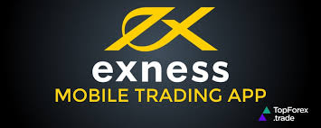 Maximize Your Trading Potential with Exness Tools Calculator 6