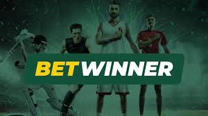 BetWinner Betting Platform Comprehensive Review and Insights