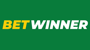 BetWinner Betting Platform Comprehensive Review and Insights